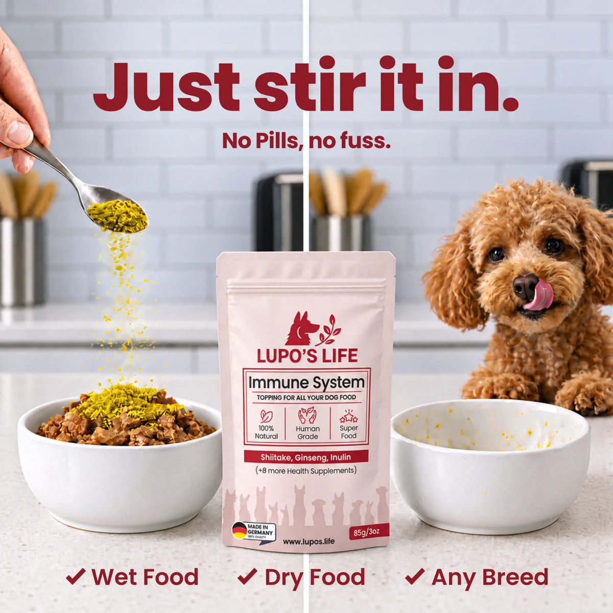 Immune System powder stirred into a bowl of dog food while a poodle waits. Works with wet food, dry food and any breed