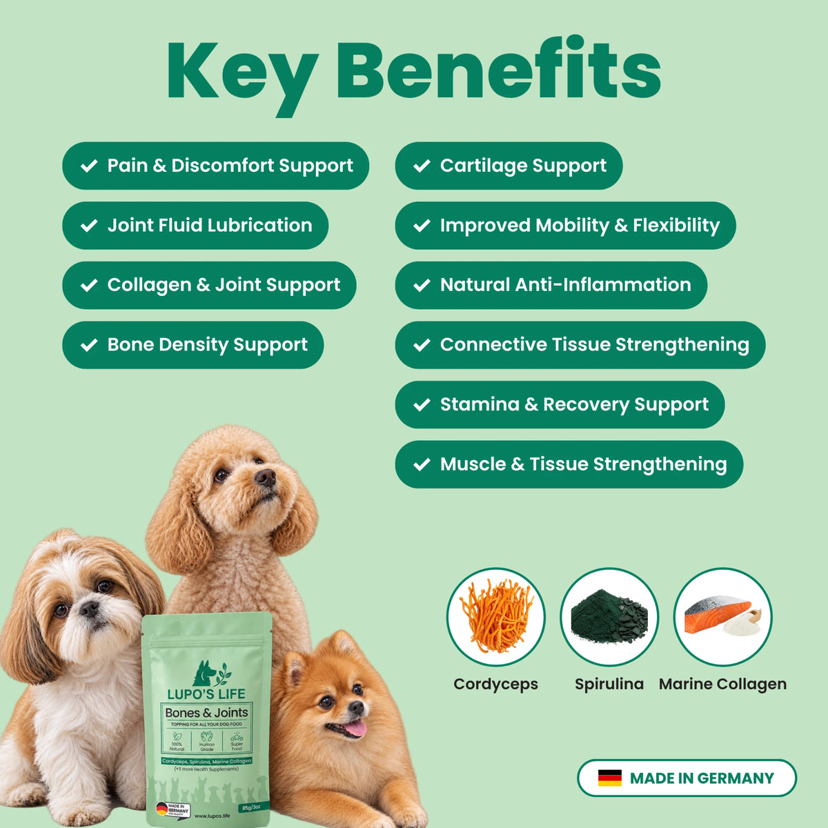 Bones & Joints key benefits for joints, cartilage and mobility, with the main ingredients cordyceps, spirulina and marine collagen