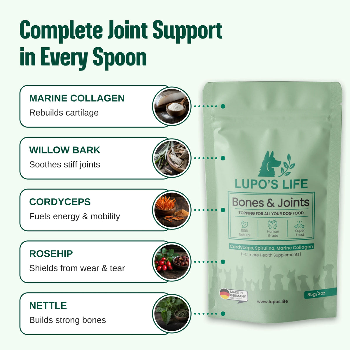 Lupo's Life Bones & Joints ingredients: Marine Collagen rebuilds cartilage, Willow Bark soothes stiff joints, Cordyceps fuels energy and mobility, Rosehip shields from wear and tear, Nettle builds strong bones