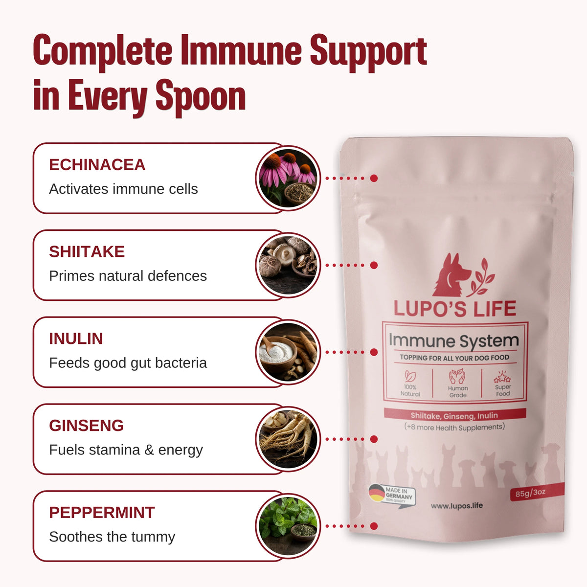 Lupo's Life Immune System ingredients: Echinacea activates immune cells, Shiitake primes natural defences, Inulin feeds good gut bacteria, Ginseng fuels stamina and energy, Peppermint soothes the tummy