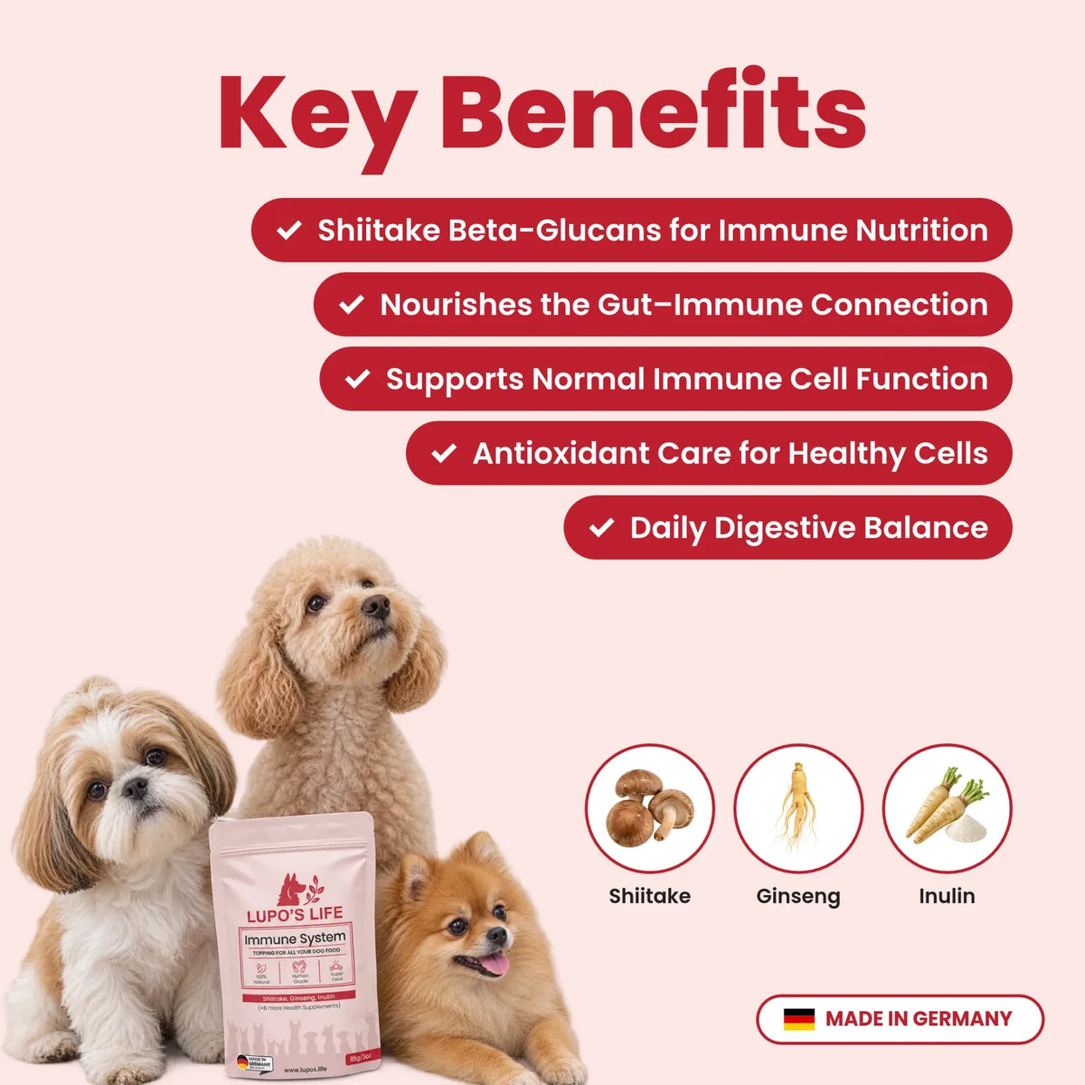 Immune System key benefits for immune support, energy and digestion, with the main ingredients shiitake, ginseng and inulin