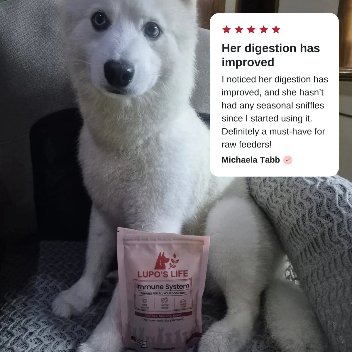 Customer review by Michaela Tabb: Her digestion has improved. White dog with the Immune System pack.
