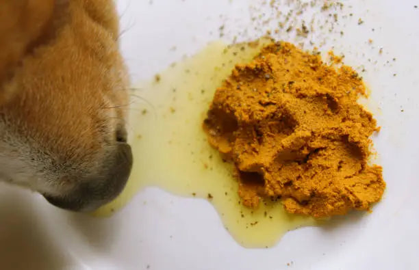 Missing Dog Supplement Ingredients in Asia