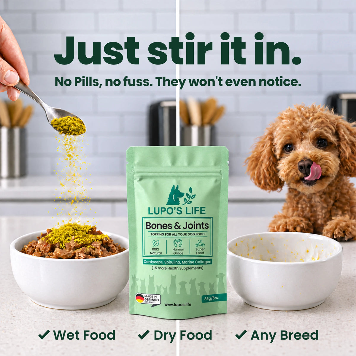 Bones & Joints powder stirred into a bowl of dog food while a poodle waits. Works with wet food, dry food and any breed