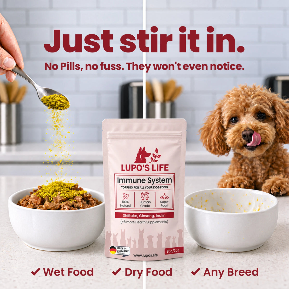 Immune System powder stirred into a bowl of dog food while a poodle waits. Works with wet food, dry food and any breed