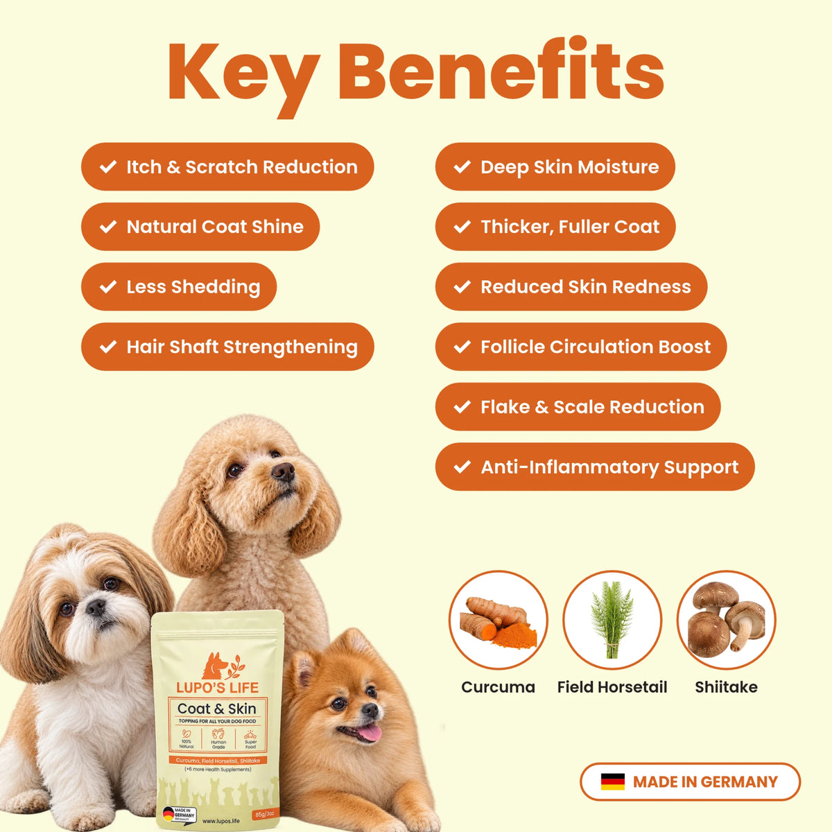 Coat & Skin key benefits for skin moisture, coat shine and less itching, with the main ingredients curcuma, field horsetail and shiitake