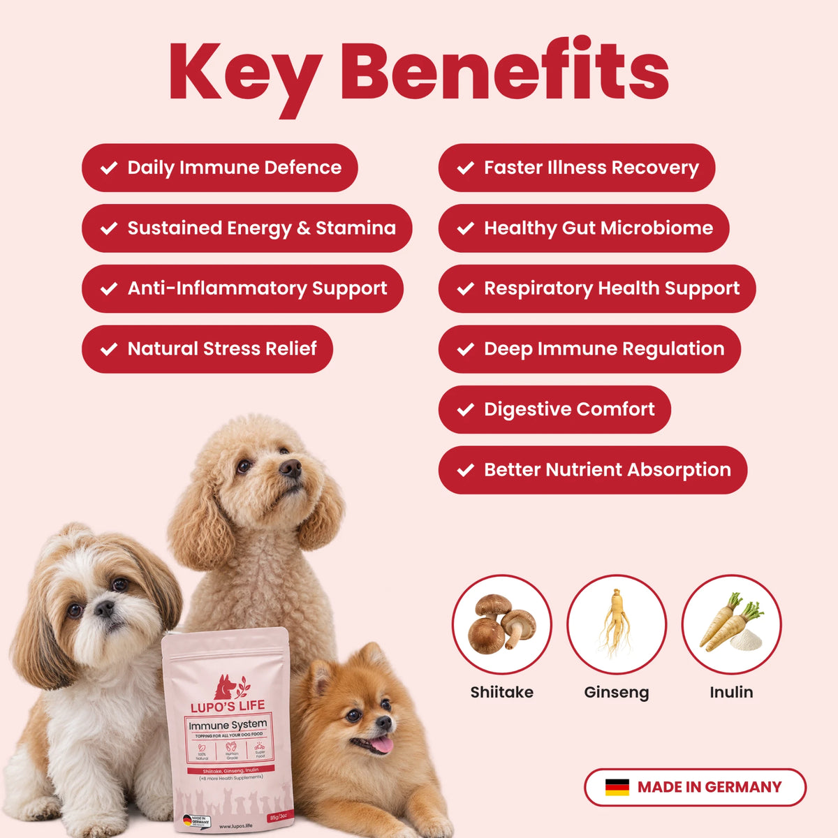 Immune System key benefits for immune support, energy and digestion, with the main ingredients shiitake, ginseng and inulin