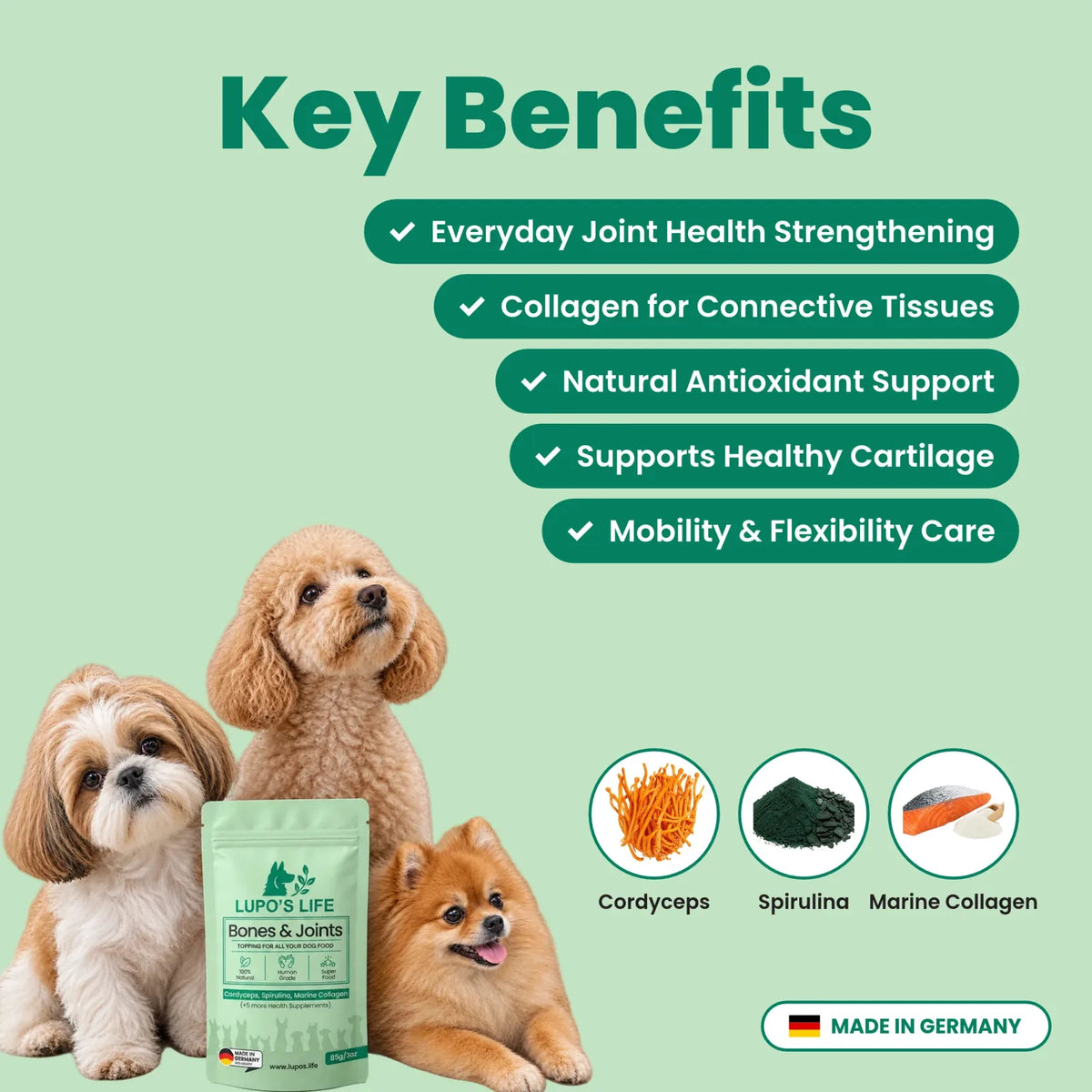 Bones & Joints key benefits for joints, cartilage and mobility, with the main ingredients cordyceps, spirulina and marine collagen