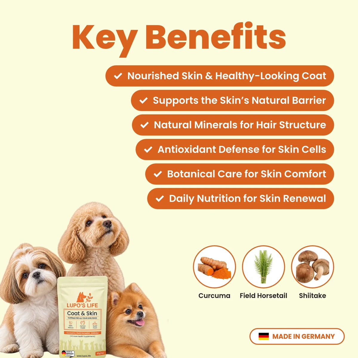 Coat & Skin key benefits for skin moisture, coat shine and less itching, with the main ingredients curcuma, field horsetail and shiitake