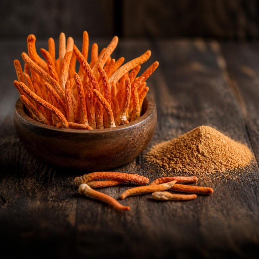 Orange cordyceps mushrooms and cordyceps powder