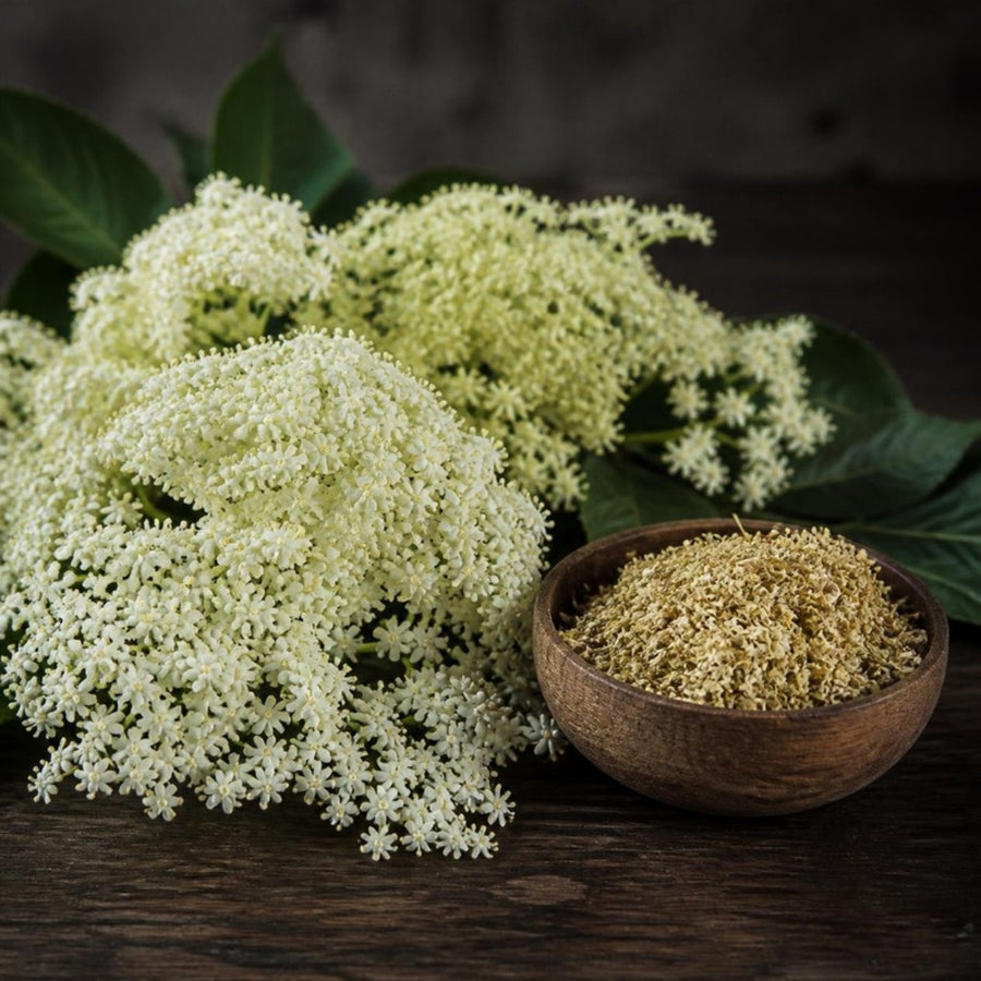 White elderflower clusters and a bowl of dried elderflower