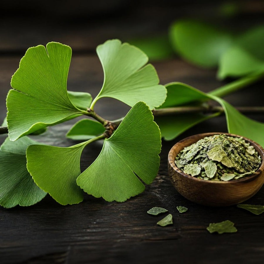 Fan-shaped ginkgo leaves and a bowl of dried ginkgo