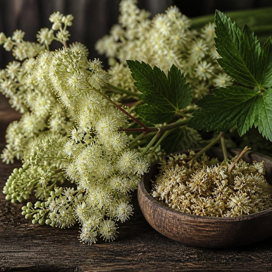 Creamy-white meadowsweet flowers and a bowl of dried meadowsweet