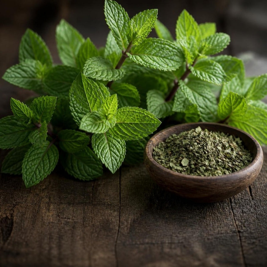 Fresh peppermint leaves and a bowl of dried peppermint