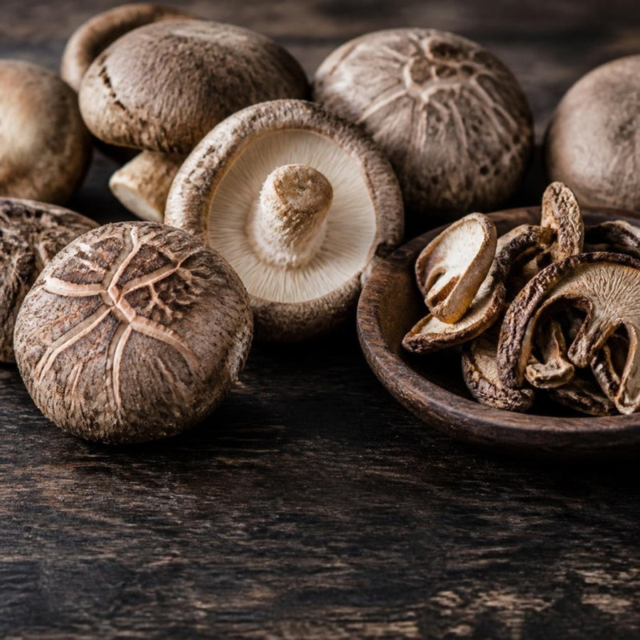 Fresh and dried shiitake mushrooms