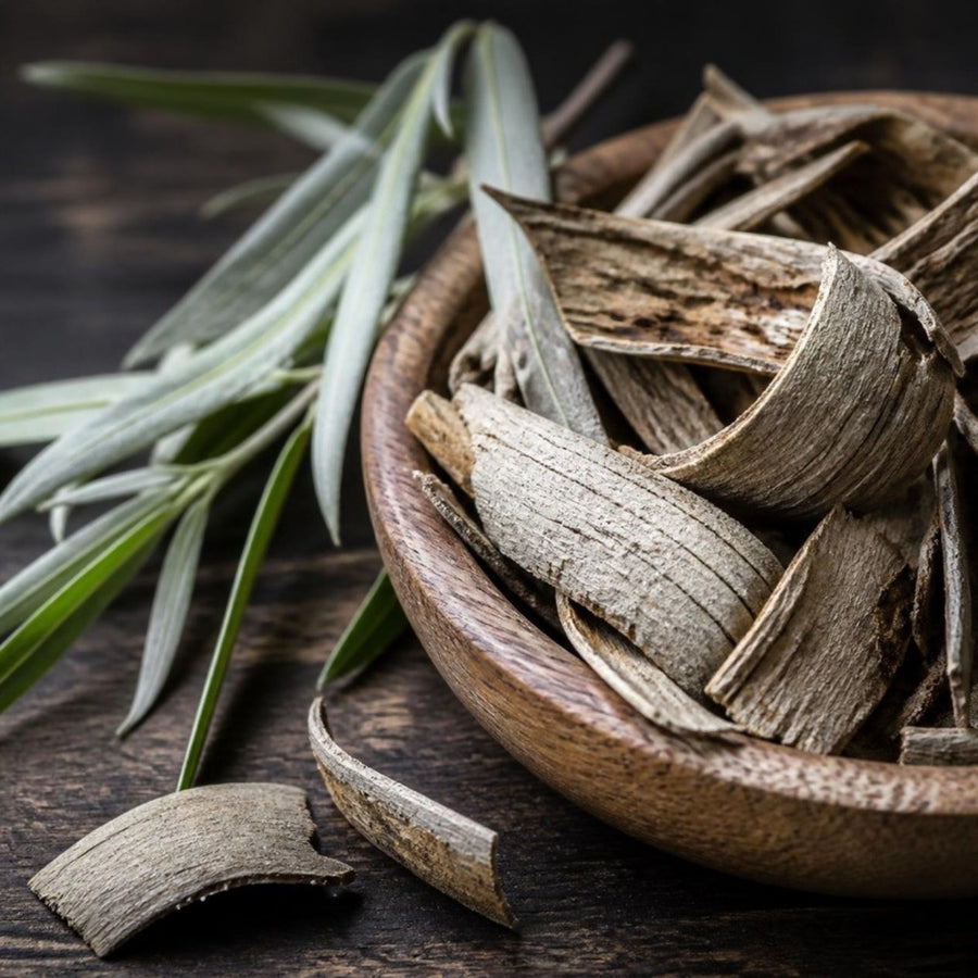 Dried willow bark pieces in a wooden bowl with willow leaves